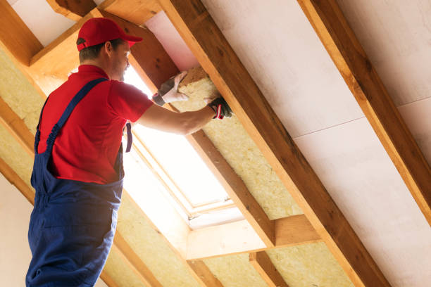 Best Eco-Friendly or Green Insulation Solutions  in Galax, VA